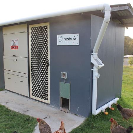 Bryn Glas Farm Stay Moruya Luaran gambar