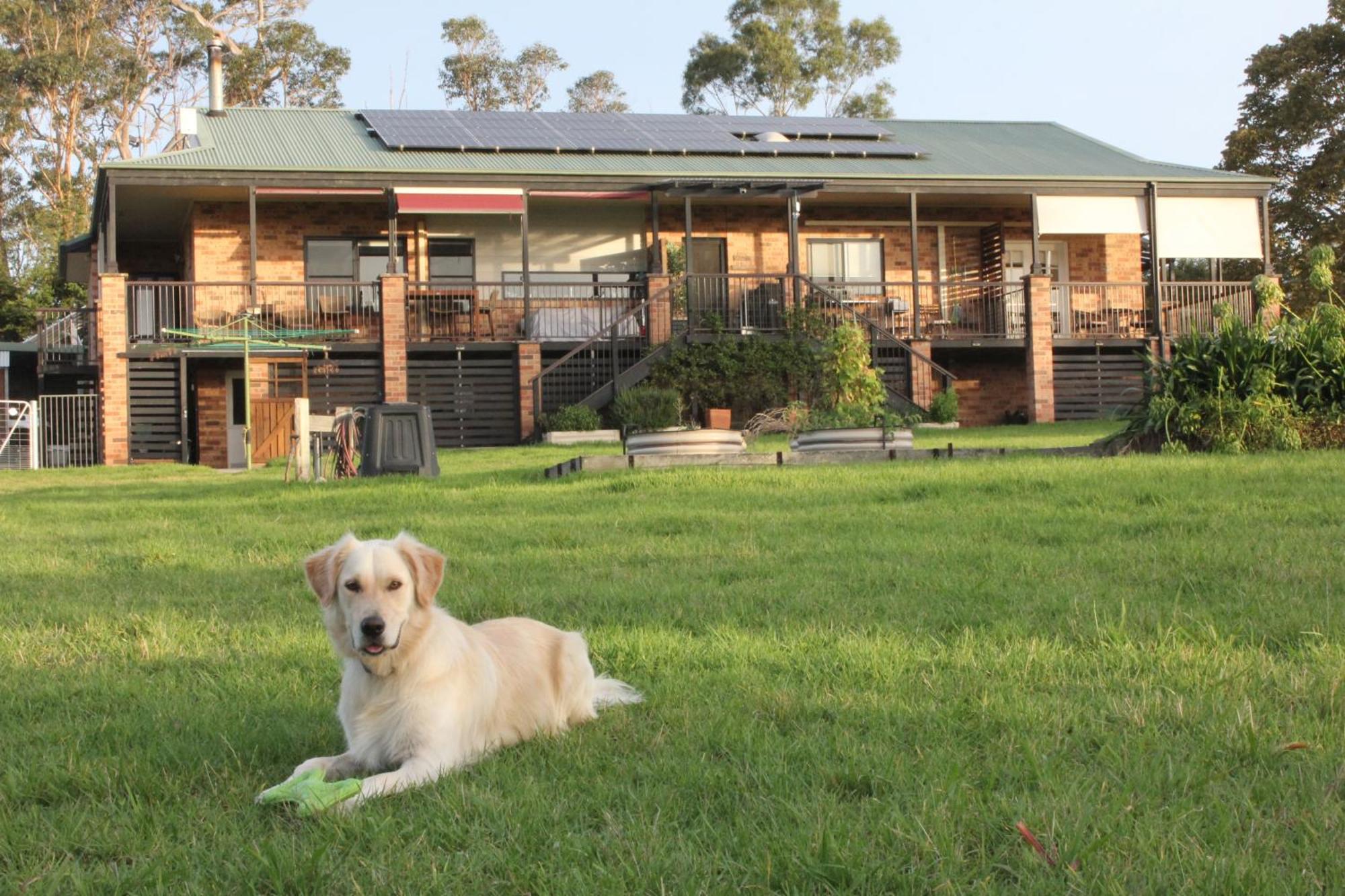 Bryn Glas Farm Stay Moruya Luaran gambar