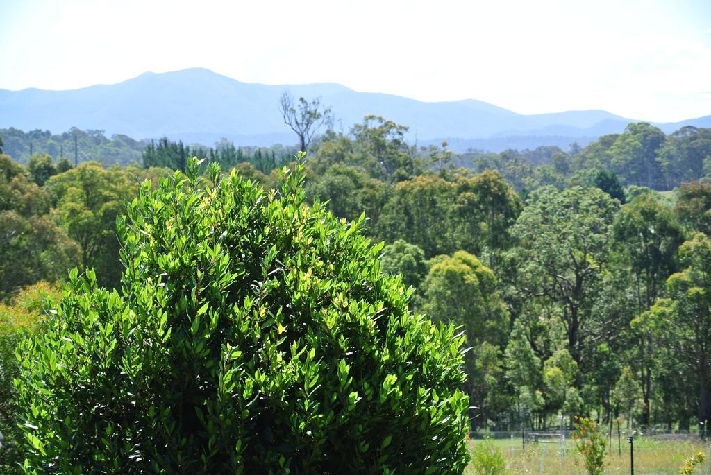 Bryn Glas Farm Stay Moruya Luaran gambar