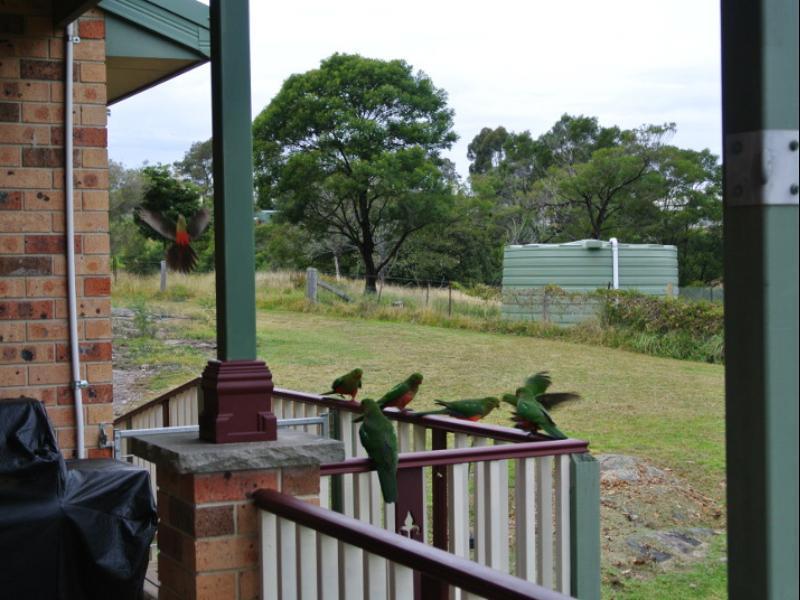 Bryn Glas Farm Stay Moruya Luaran gambar
