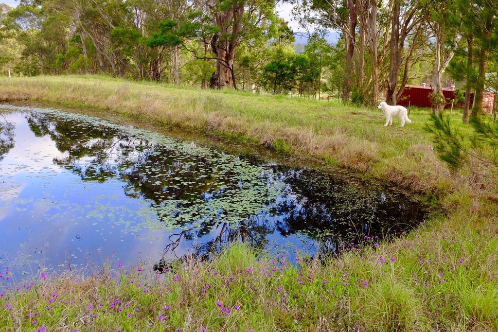 Bryn Glas Farm Stay Moruya Luaran gambar