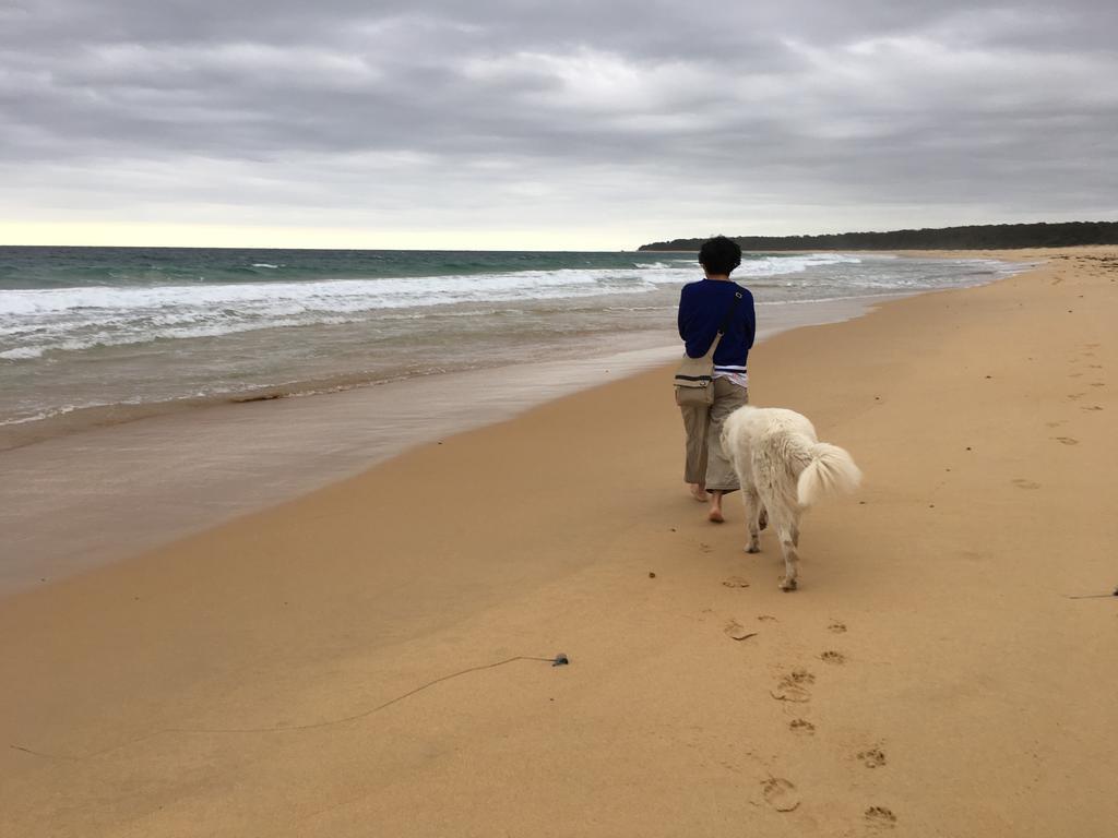 Bryn Glas Farm Stay Moruya Luaran gambar