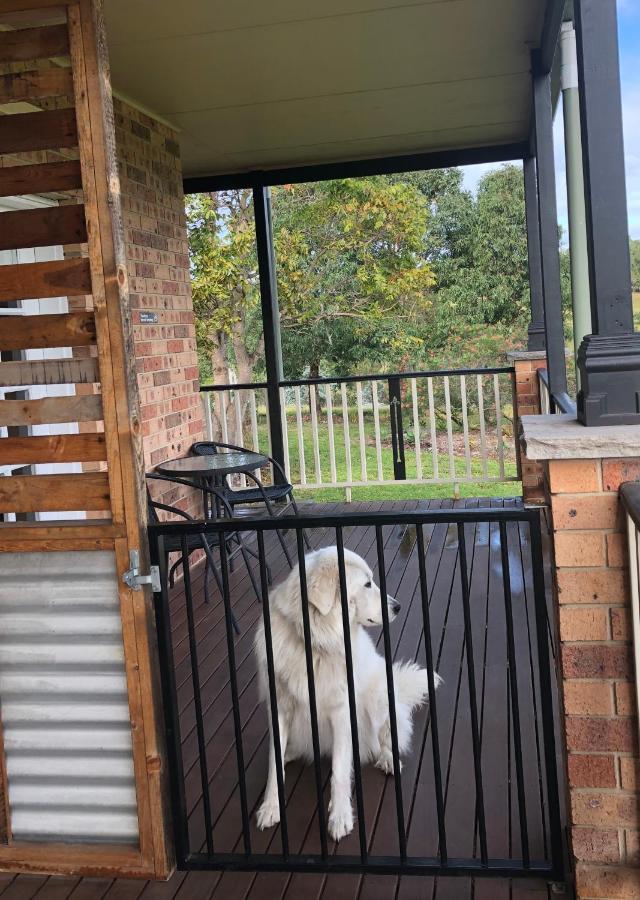 Bryn Glas Farm Stay Moruya Luaran gambar
